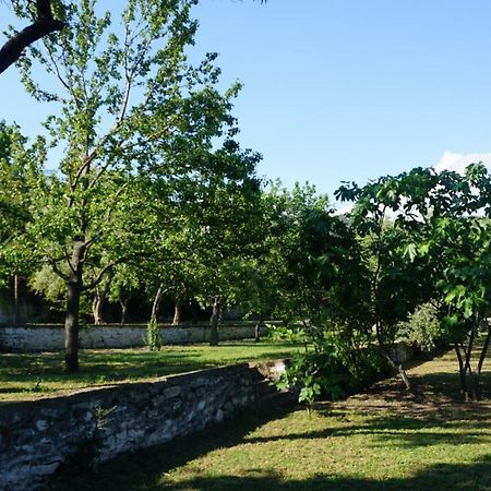 PalaiónTsiflíkion Kavet Palio Cottage מראה חיצוני תמונה
